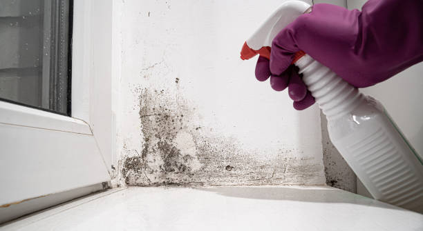 Water damage restoration experts in Louisiana, MO